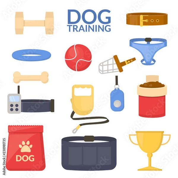 Fototapeta Set object of dog sport. Training equipment. Obedience. Vector flat