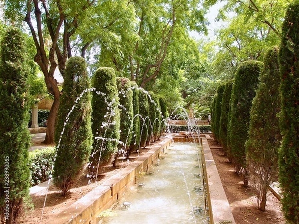 Fototapeta Water at garden