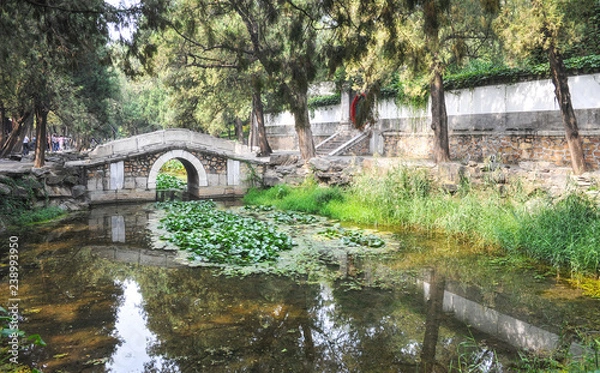 Obraz Bridge in the park Iheyuan