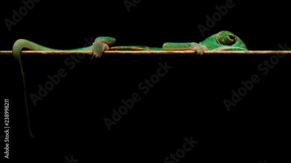 Obraz OLYMPUS DIGITAL CAMERA