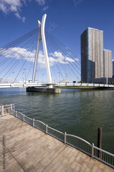 Fototapeta 東京　隅田川と中央大橋