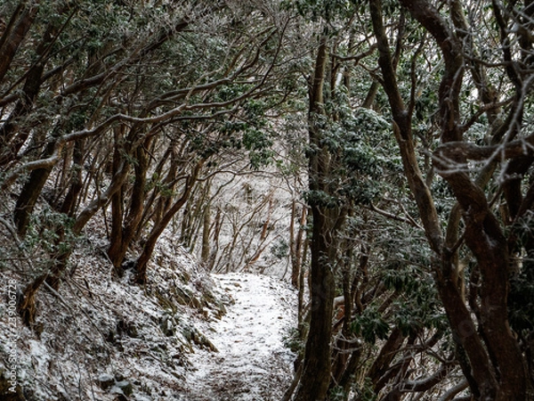 Fototapeta OLYMPUS DIGITAL CAMERA