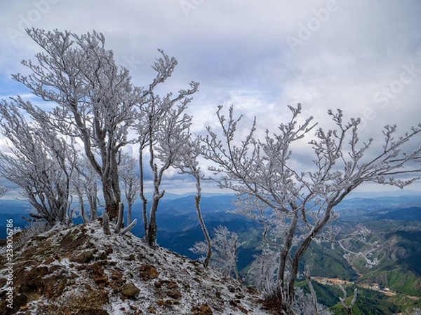 Fototapeta OLYMPUS DIGITAL CAMERA
