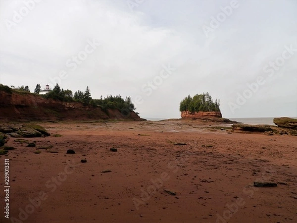 Fototapeta Burntcoat Head