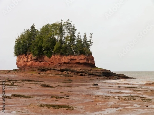 Obraz Burntcouat Head