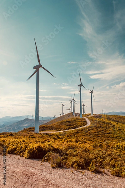 Fototapeta Wind turbines on beautiful sunny summer autumn mountain landsape. Curvy road through mountain Eolic park. Green ecological power energy generation. Wind farm eco field