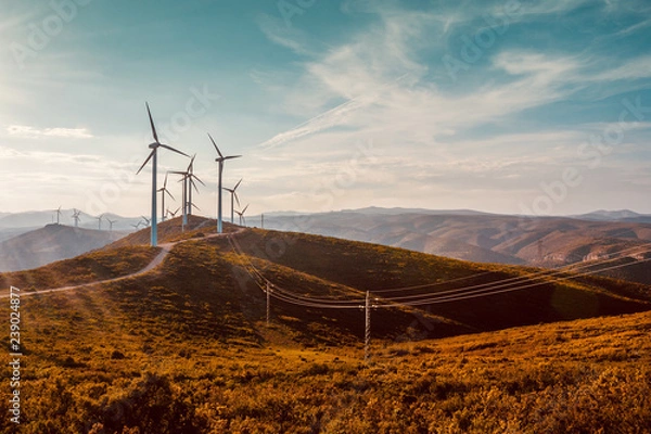 Fototapeta Wind turbines on beautiful sunny summer autumn mountain landsape. Curvy road through mountain Eolic park. Green ecological power energy generation. Wind farm eco field