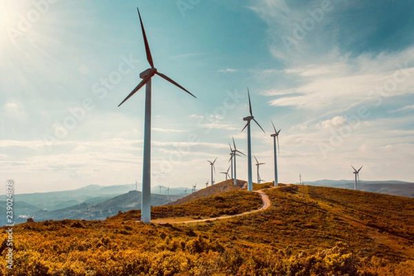 Fototapeta Wind turbines on beautiful sunny summer autumn mountain landsape. Curvy road through mountain Eolic park. Green ecological power energy generation. Wind farm eco field
