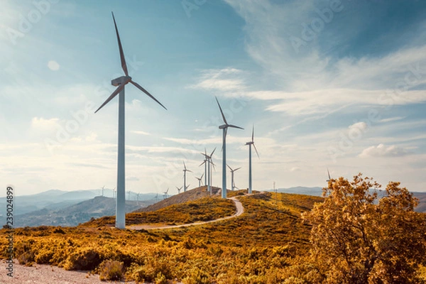 Fototapeta Wind turbines on beautiful sunny summer autumn mountain landsape. Curvy road through mountain Eolic park. Green ecological power energy generation. Wind farm eco field