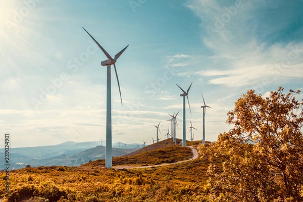Fototapeta Wind turbines on beautiful sunny summer autumn mountain landsape. Curvy road through mountain Eolic park. Green ecological power energy generation. Wind farm eco field