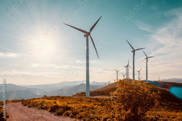 Fototapeta Wind turbines on beautiful sunny summer autumn mountain landsape. Curvy road through mountain Eolic park. Green ecological power energy generation. Wind farm eco field