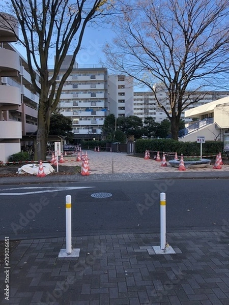 Fototapeta 冬の日常