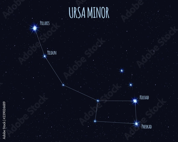Obraz Ursa Minor (Little Bear, Little Dipper) constellation, vector illustration with the names of basic stars against the starry sky