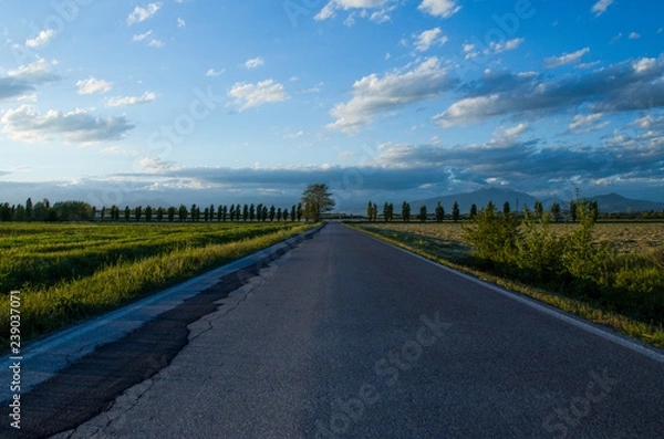 Obraz Road in the countryside