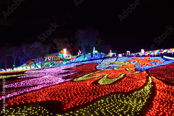 Obraz 東京ドイツ村ウィンターイルミネーション