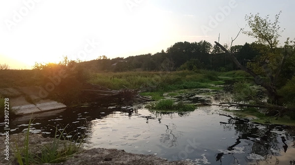 Obraz river in the forest