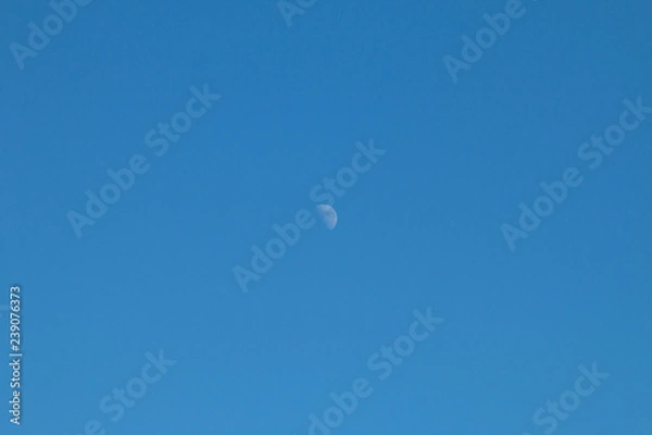 Fototapeta moon in the sky