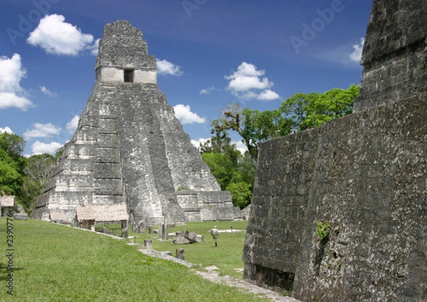 Obraz jaguar temple, tikal