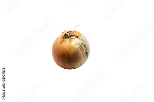Fototapeta onion isolated on white background