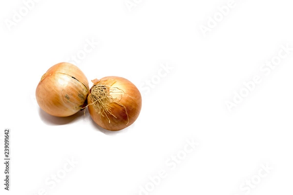 Fototapeta onions on white background