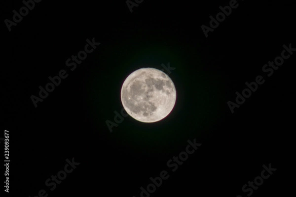 Fototapeta 満月３