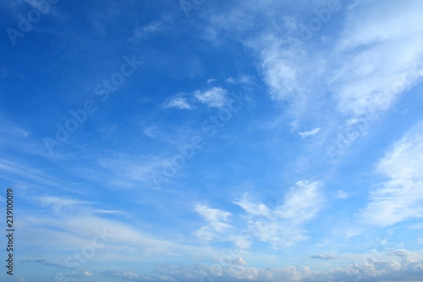 Obraz さわやかな青空

