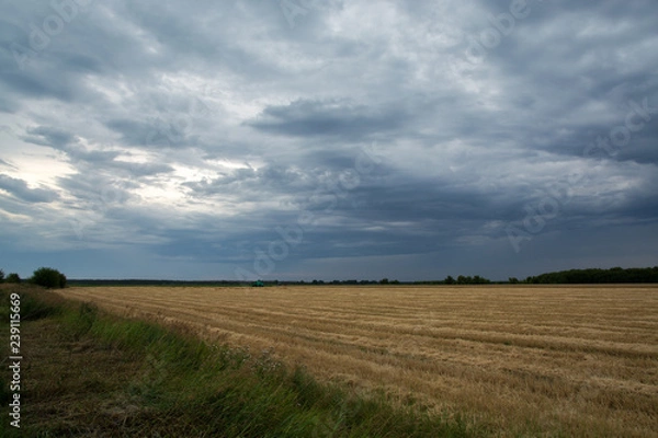 Obraz field and sky