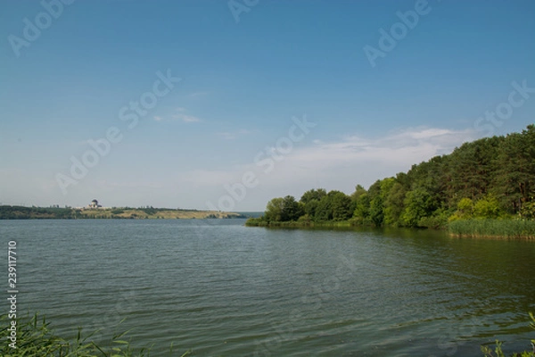 Fototapeta river in the forest