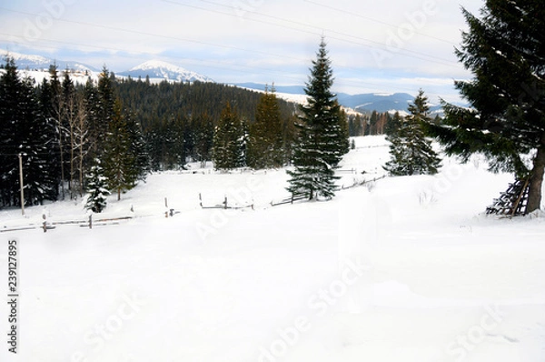 Obraz Winter in the Carpathians