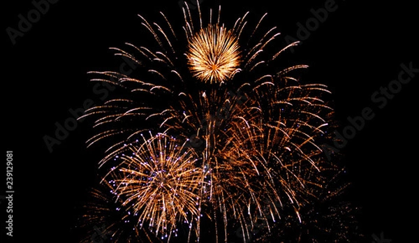 Fototapeta Glod fireworks sparkle full on the night sky