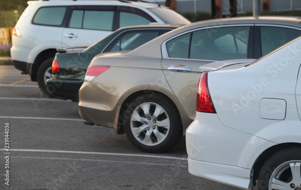 Fototapeta Closeup of rear side of white car parking in parking lot with sunlight in the evening. 