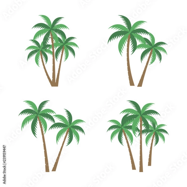 Fototapeta [PALM TREE SET] A palm tree vector set.