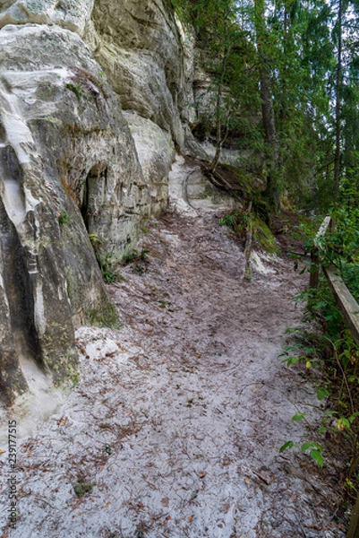 Fototapeta sandstone cliffs with tourist trail on river of gauja, Latvia