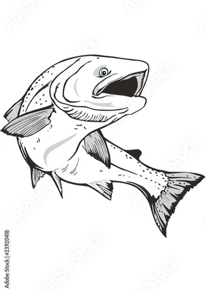 Obraz king salmon fish