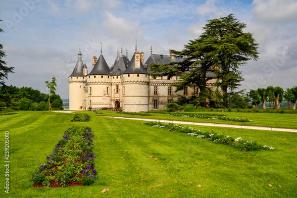 Obraz Chateau in Loire Valley