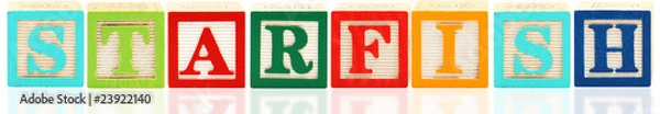 Obraz Alphabet Blocks STARFISH
