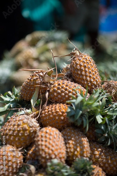 Obraz Pile of Pineapples at street market