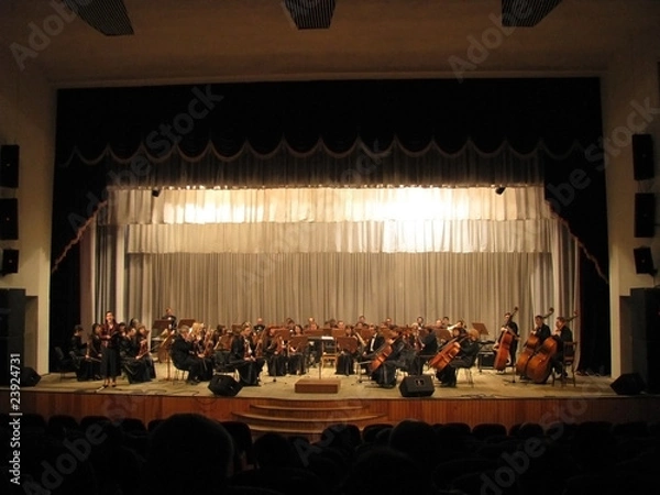 Obraz Symphonic orchestra