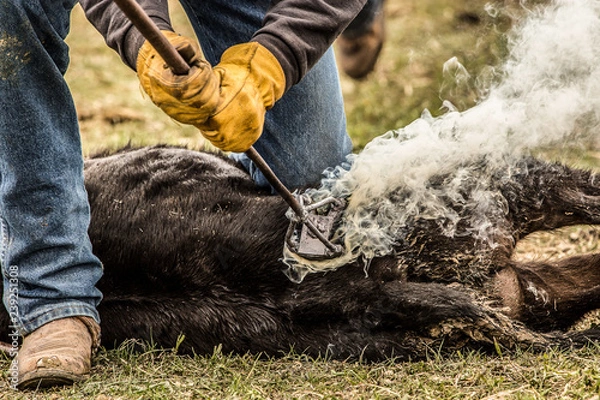 Fototapeta Branding IV