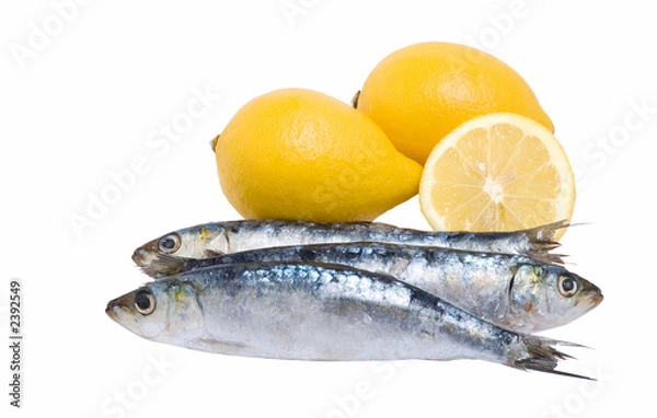 Obraz omega and vitamins