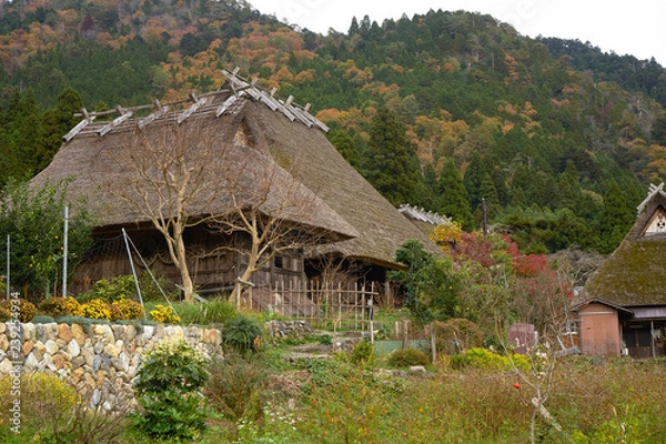 Fototapeta かやぶきの里