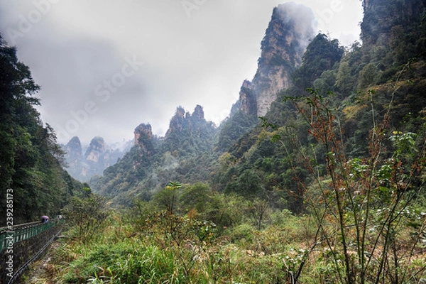 Fototapeta Gorge covered with trees in the mountains Avatar