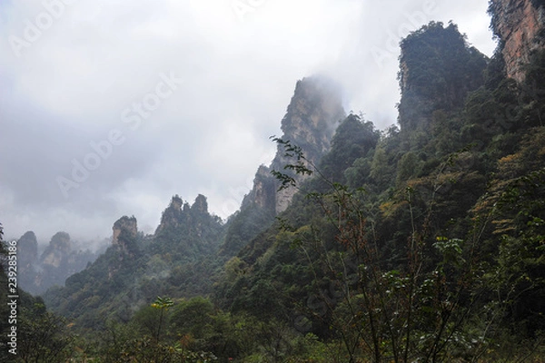 Fototapeta Fog and humidity in the mountains Avatar