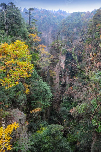 Fototapeta Autumn trees and the abyss of mountains Avatar