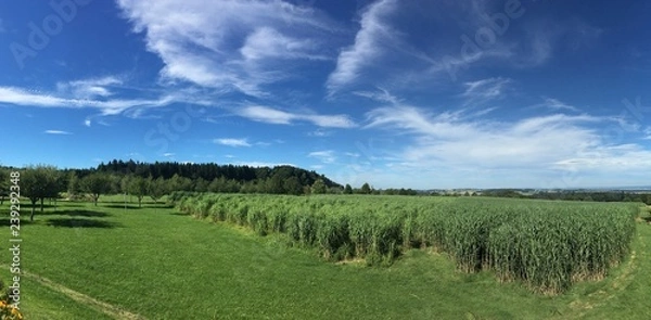 Obraz Naturschutzgebiet