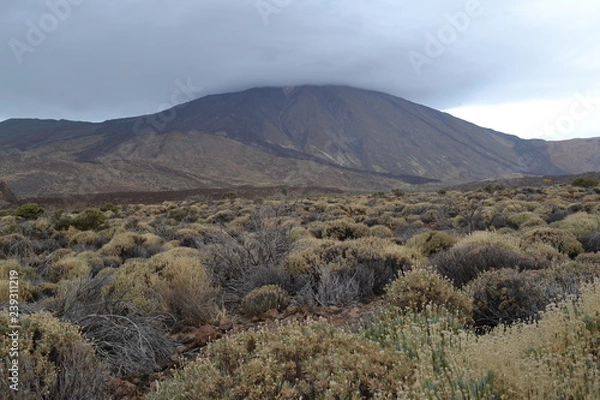 Obraz teide 6