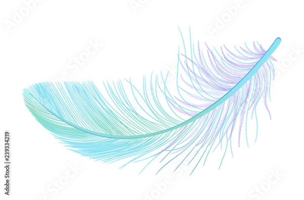 Obraz Feather, fluff, fuzz realistic 3d. Colored, blue, purple, green. Pooh, lightness, airiness.