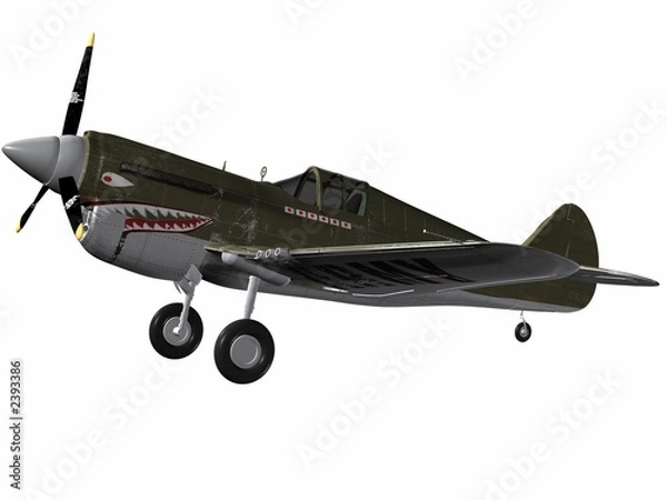 Obraz p40 warhawk