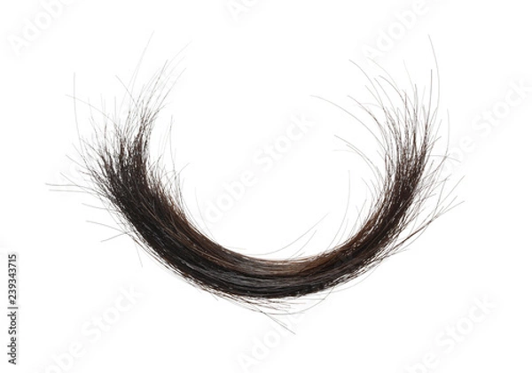 Obraz Blokada czarnych włosów na białym tle