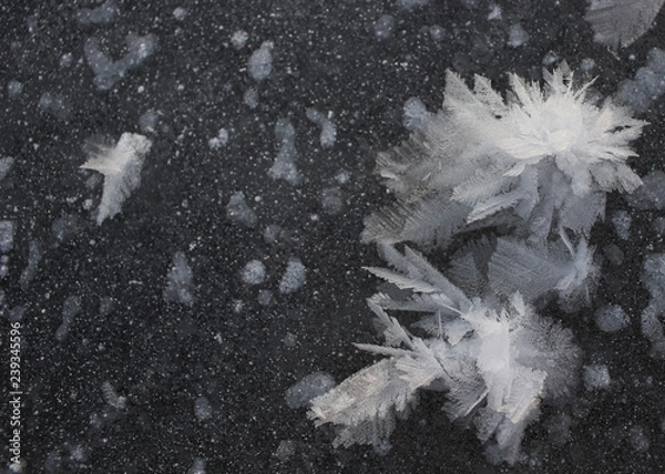 Obraz frozen snowflake dark white background 